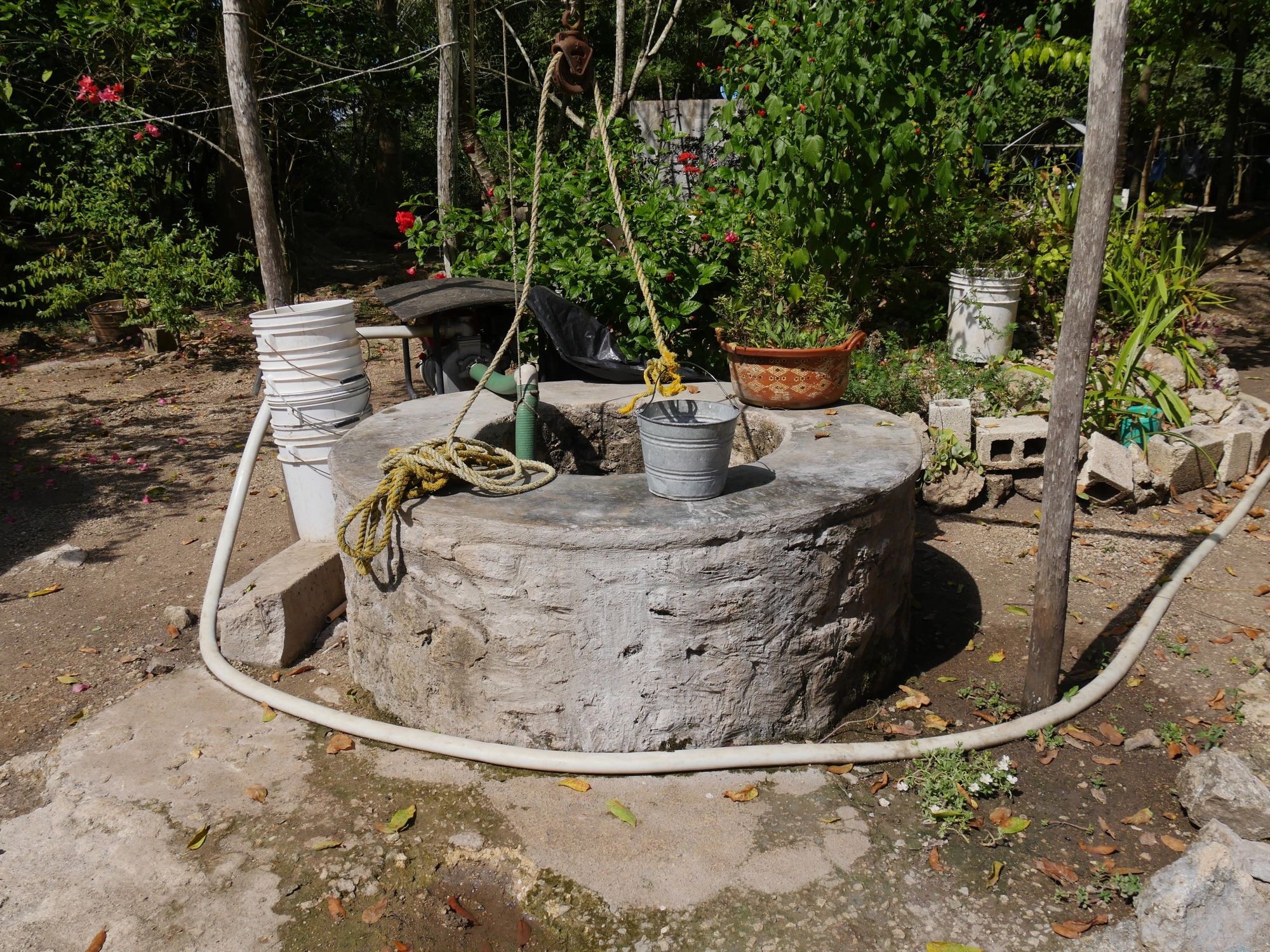 Water well and pump service related image